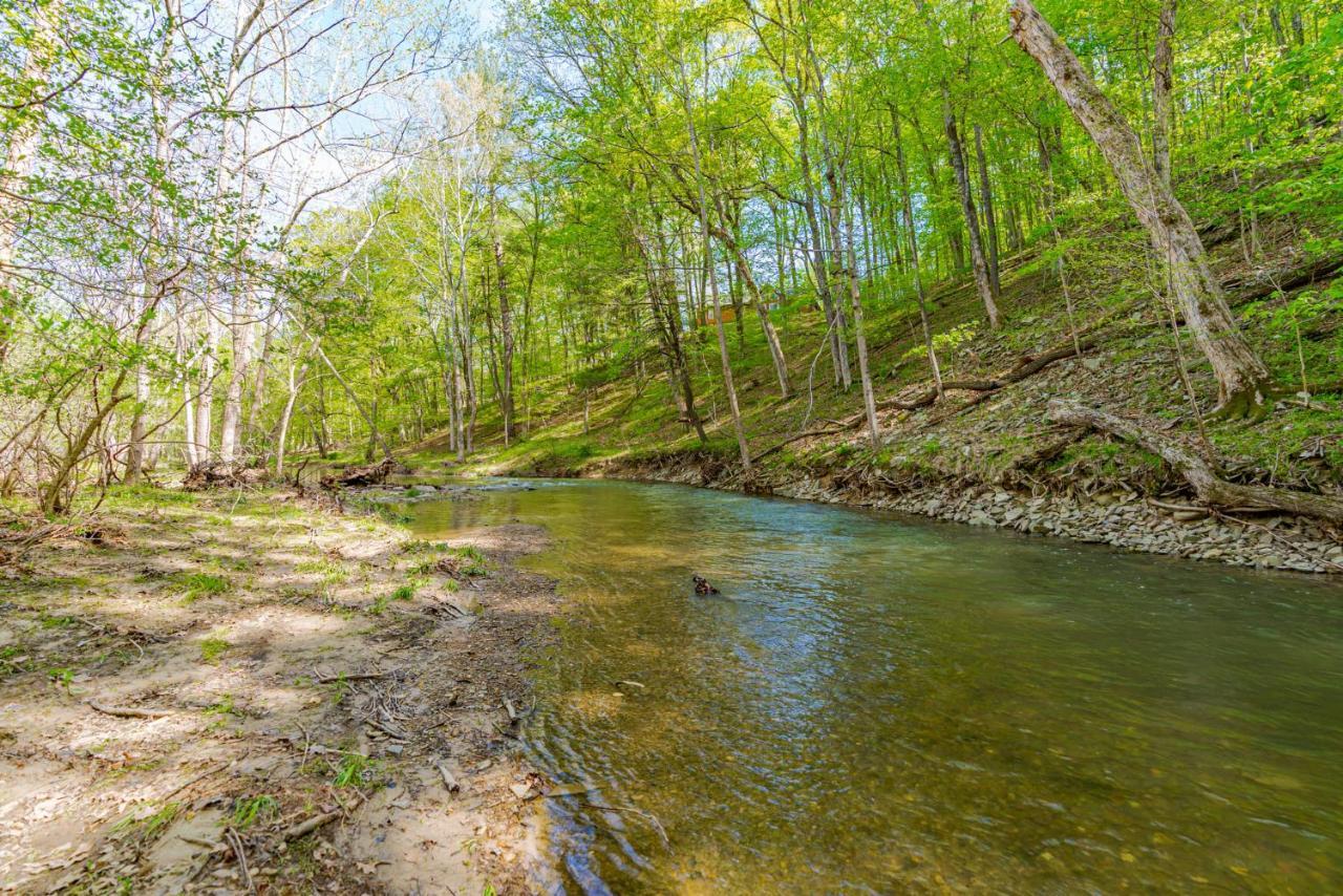 River Access Cabin With Hot Tub, Fire Pit, & Wifi! Morton Grove Eksteriør billede